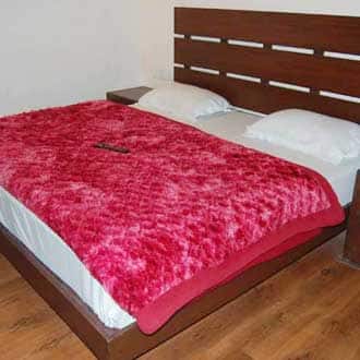 Hotel Regency Shyam Sunder, Nainital 5